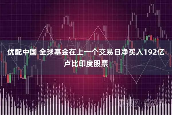 优配中国 全球基金在上一个交易日净买入192亿卢比印度股票