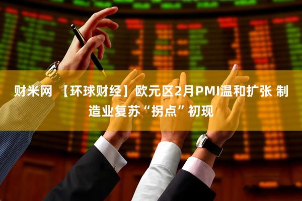财米网 【环球财经】欧元区2月PMI温和扩张 制造业复苏“拐点”初现