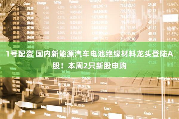 1号配资 国内新能源汽车电池绝缘材料龙头登陆A股！本周2只新股申购