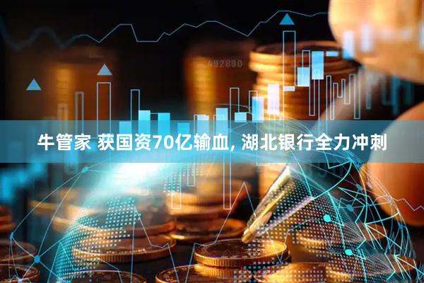 牛管家 获国资70亿输血, 湖北银行全力冲刺