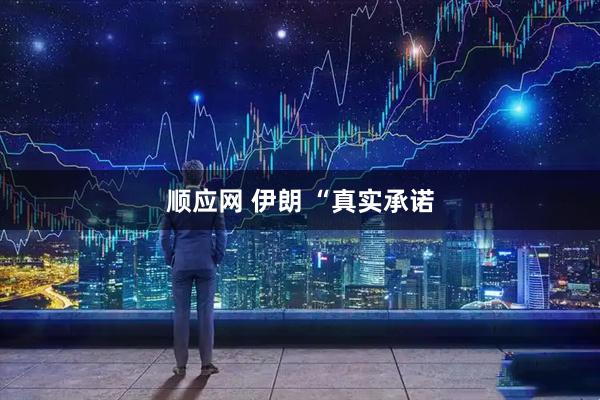 顺应网 伊朗 “真实承诺