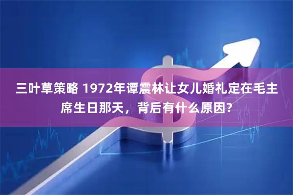 三叶草策略 1972年谭震林让女儿婚礼定在毛主席生日那天，背后有什么原因？