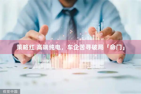 策略红 高端纯电，车企苦寻破局「命门」