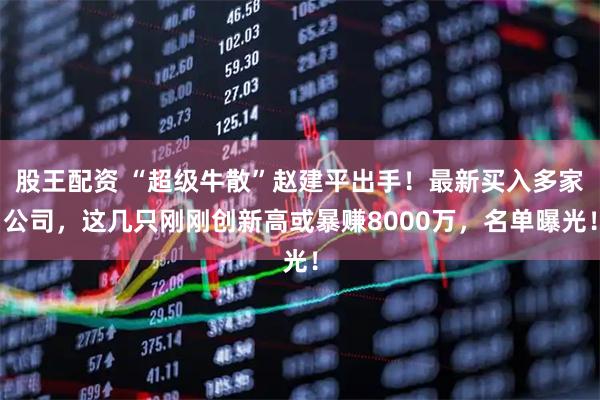 股王配资 “超级牛散”赵建平出手！最新买入多家公司，这几只刚刚创新高或暴赚8000万，名单曝光！