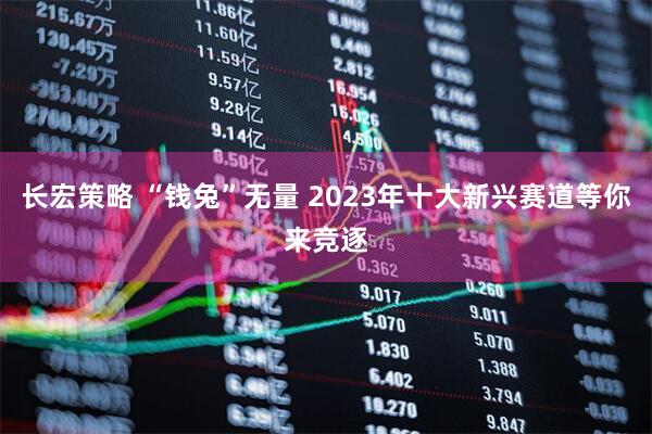 长宏策略 “钱兔”无量 2023年十大新兴赛道等你来竞逐