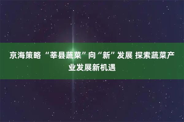 京海策略 “莘县蔬菜”向“新”发展 探索蔬菜产业发展新机遇