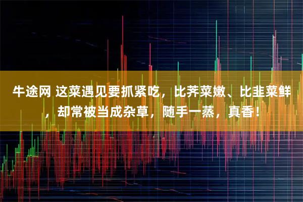 牛途网 这菜遇见要抓紧吃，比荠菜嫩、比韭菜鲜，却常被当成杂草，随手一蒸，真香！