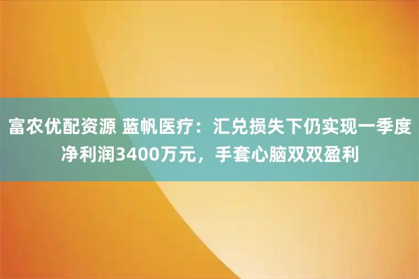 富农优配资源 蓝帆医疗：汇兑损失下仍实现一季度净利润3400万元，手套心脑双双盈利