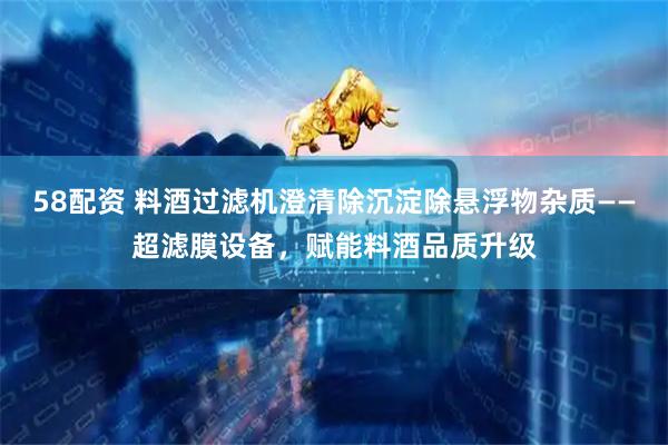 58配资 料酒过滤机澄清除沉淀除悬浮物杂质——超滤膜设备，赋能料酒品质升级