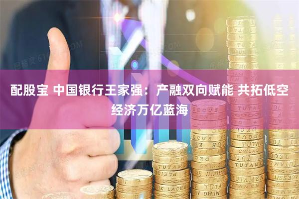配股宝 中国银行王家强：产融双向赋能 共拓低空经济万亿蓝海